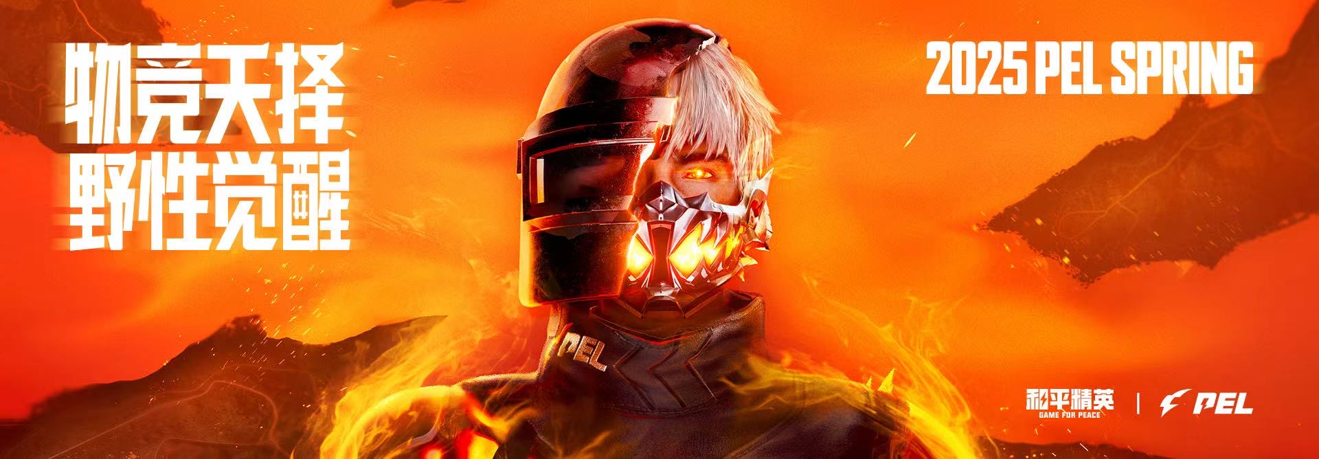 和平精英辅助【神女】